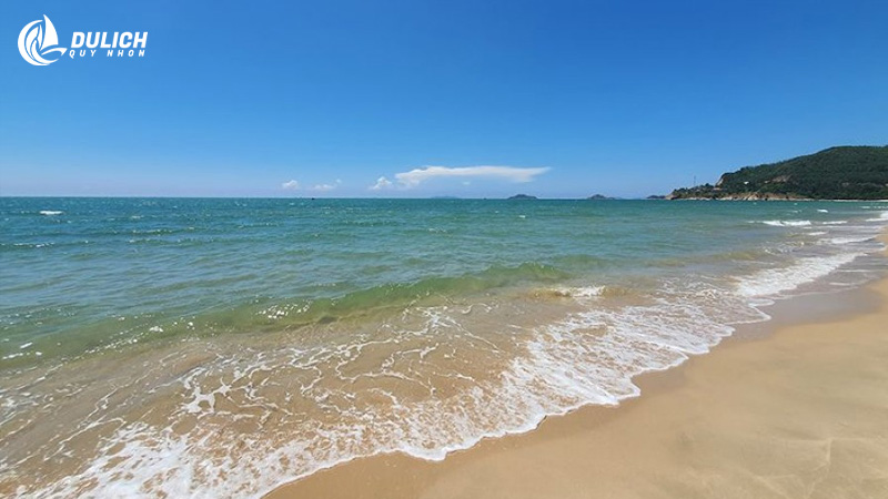 Vùng biển ở Quy Hòa khá nông, du khách có thể thoải mái đắm mình vào làn nước trong xanh nơi đây 