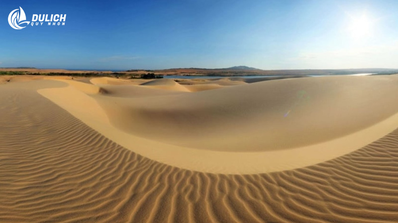 Đồi cát Phương Mai - 'Sa mạc Sahara' thu nhỏ giữa lòng Quy Nhơn 