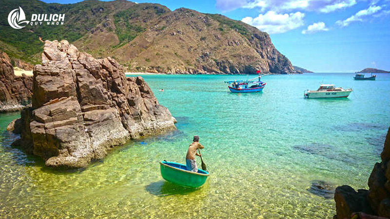 Hiện nay Quy Nhơn có nhiều loại tour khác nhau, phù hợp với nhu cầu của nhiều khách hàng 