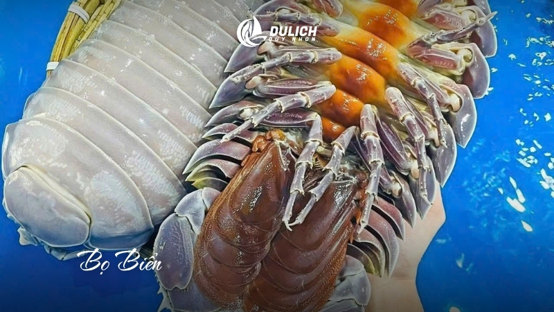 Bọ biển thu hút khách sành ăn