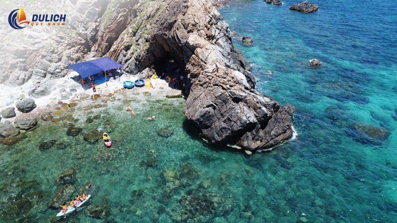 Vẻ Đẹp Thiên Nhiên Hoang Dã