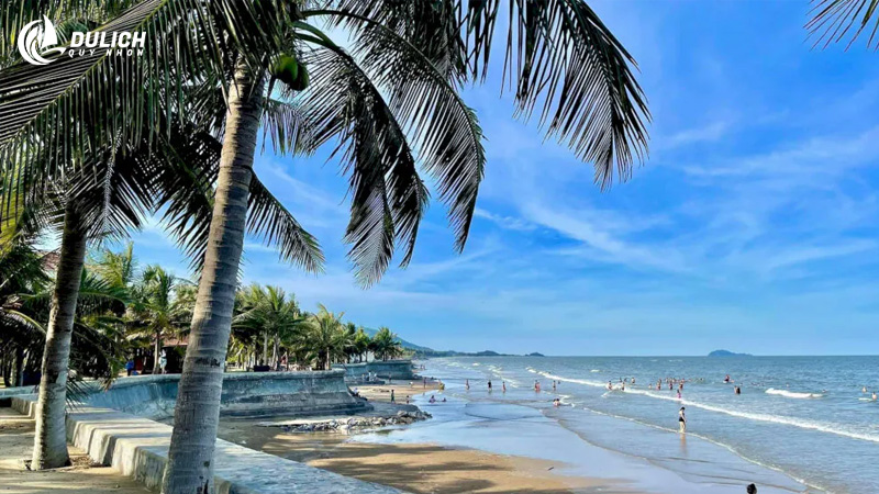 Background lối mòn ra biển có cây xanh “chill hết nấc”  
