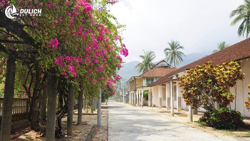 Khung cảnh hoài cổ và bình yên ở làng phong Quy Hòa sẽ giúp bức ảnh của bạn trông nghệ hơn bao giờ hết