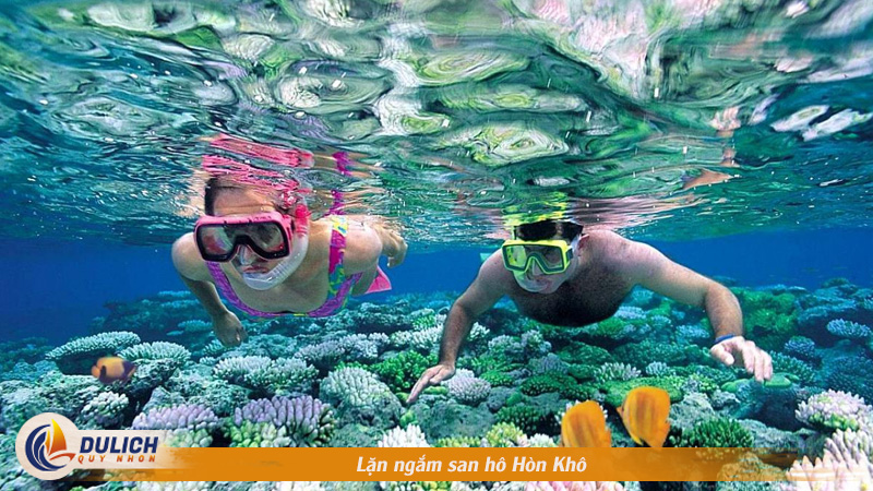 Lặn ngắm san hô Hòn Khô
