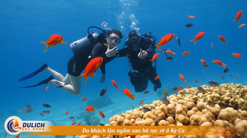 Du khách lặn ngắm san hô rực rỡ ở Kỳ Co
