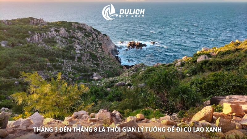 Tháng 3 đến tháng 8 là thời gian lý tưởng để đi Cù Lao Xanh 