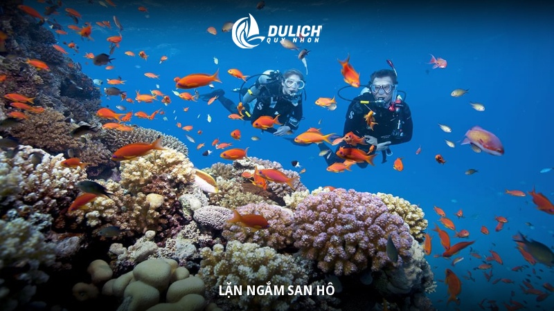 Các trải nghiệm không thể bỏ lỡ tại Cù Lao Xanh