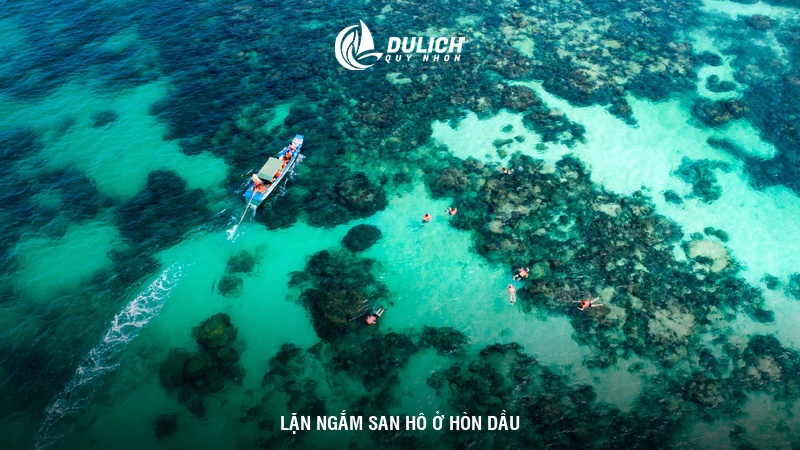 Lặn ngắm san hô ở Hòn Dầu
