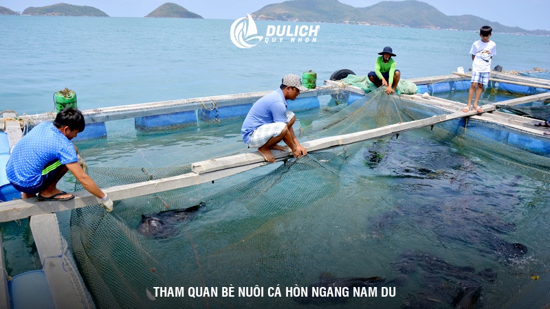 Tham quan bè nuôi cá Hòn Ngang Nam Du