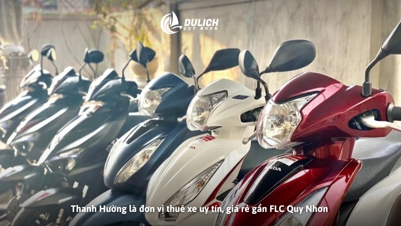 Thanh Hường là đơn vị thuê xe uy tín, giá rẻ gần FLC Quy Nhơn
