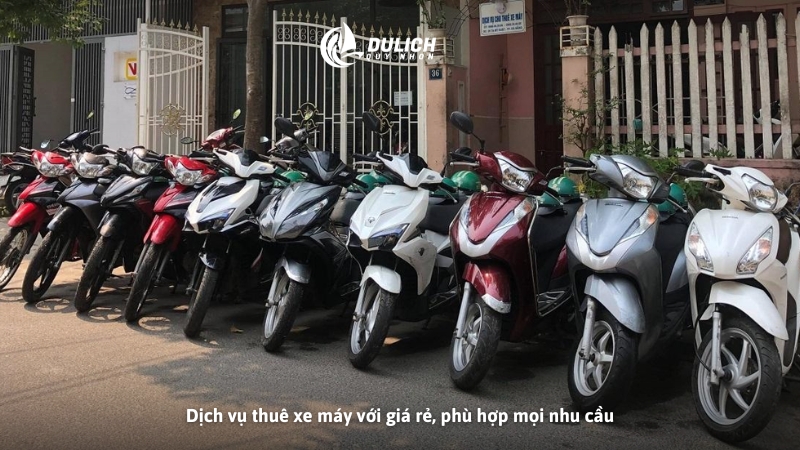 Dịch vụ thuê xe máy với giá rẻ, phù hợp mọi nhu cầu