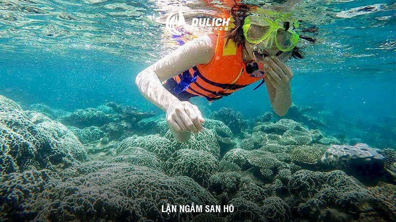 Lịch trình tham quan tour Hòn Khô nửa ngày buổi sáng