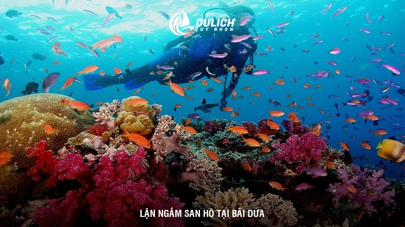 Tham gia các hoạt động tại bãi biển Kỳ Co