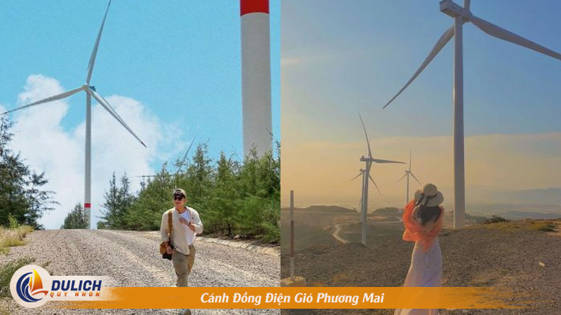 Cánh Đồng Điện Gió Phương Mai