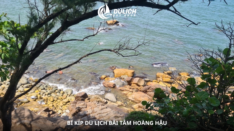 Bí kíp du lịch bãi tắm Hoàng Hậu
