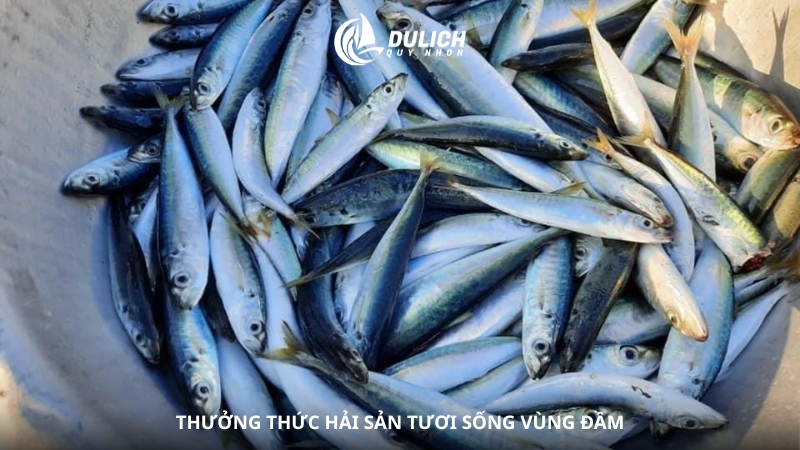 Thưởng thức hải sản tươi sống vùng đầm