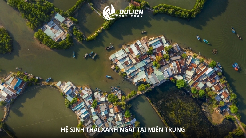 Hệ sinh thái xanh ngắt tại miền Trung