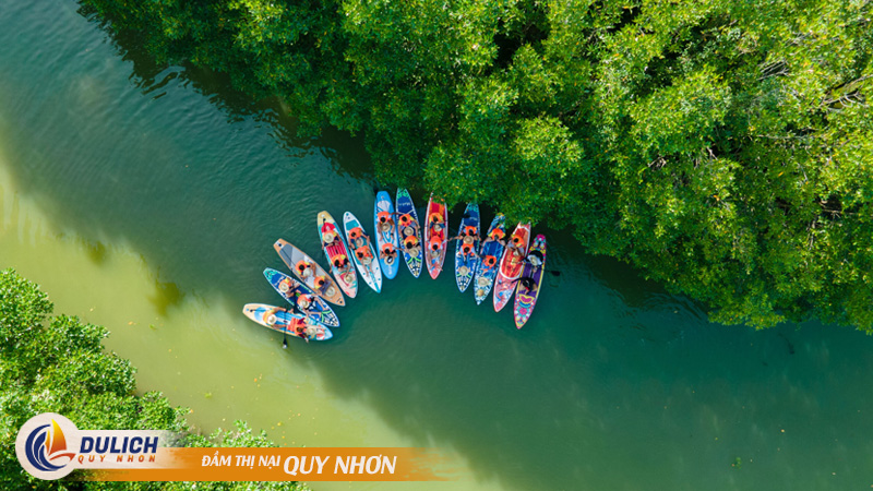 Trải nghiệm độc đáo khi khám phá hệ sinh thái Đầm Thị Nại