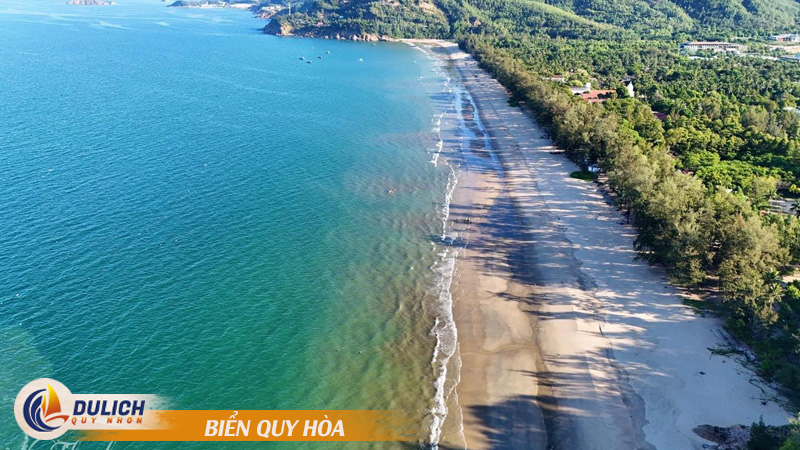 Biển Quy Hòa Quy Nhơn – dải bờ biển với hàng thông xanh
