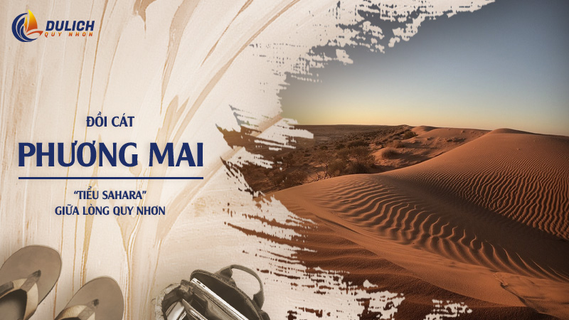 Đồi Cát Phương Mai – “Tiểu Sahara” giữa lòng Quy Nhơn