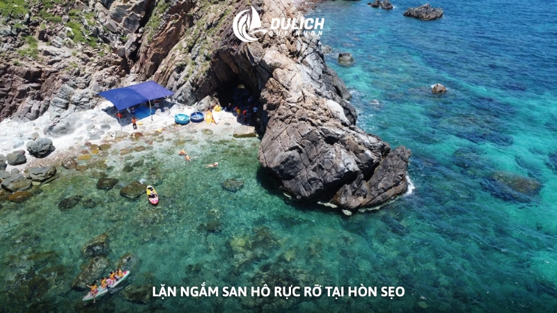 Lặn ngắm san hô rực rỡ tại Hòn Sẹo