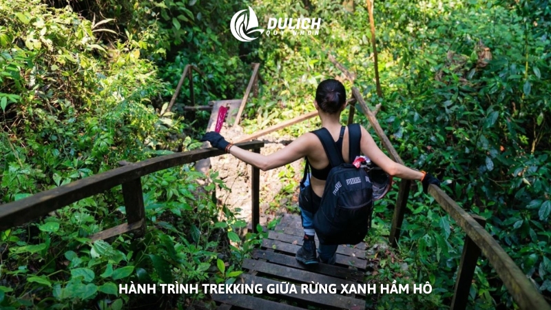 Hành trình trekking giữa rừng xanh khu sinh thái Hầm Hô
