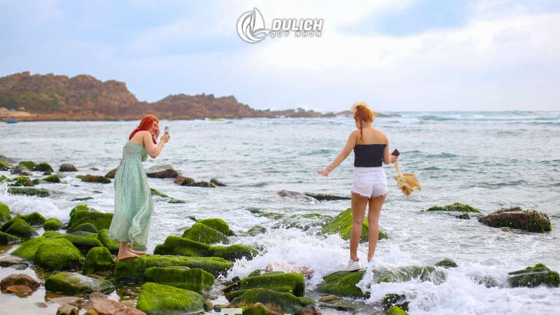 Nhơn Hải có những hoạt động gì cho du khách?