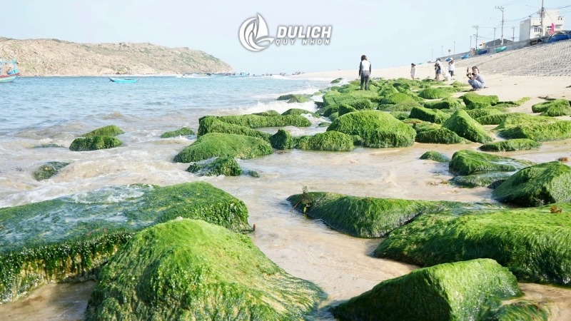 Góc sống ảo cực chill tại làng chài Nhơn Hải