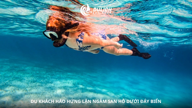 Nhơn Hải có những hoạt động gì cho du khách?