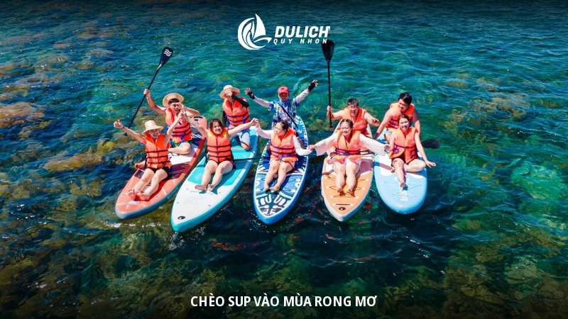 Các hoạt động nổi bật trong tour Kỳ Co - Eo Gió 1 ngày
