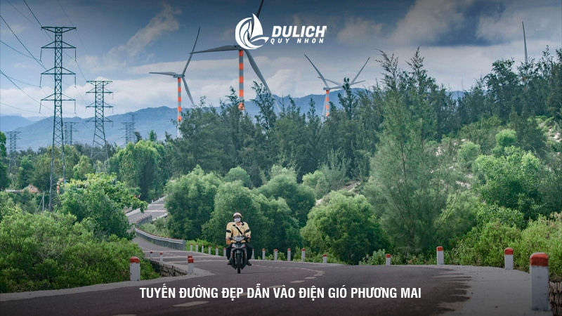 Tuyến đường đẹp dẫn vào điện gió Phương Mai