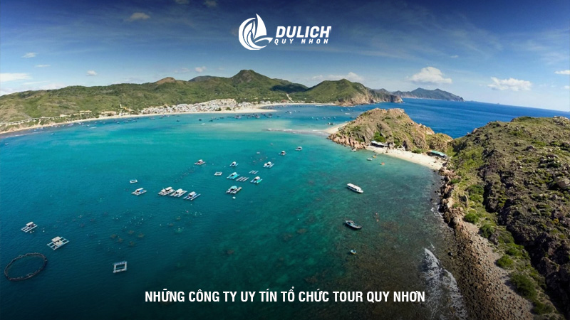 Những công ty uy tín tổ chức tour Quy Nhơn