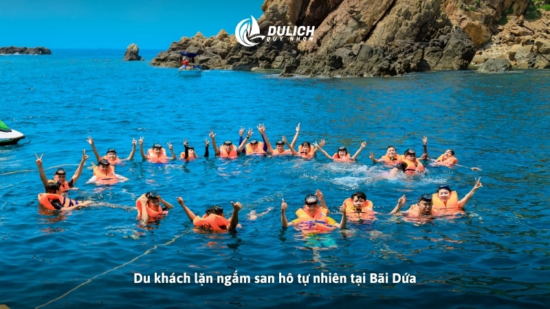 Du khách lặn ngắm san hô tự nhiên tại Bãi Dứa