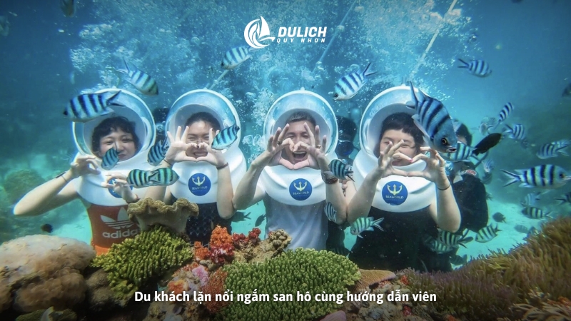 Du khách lặn ngắm san hô Quy Nhơn cùng hướng dẫn viên