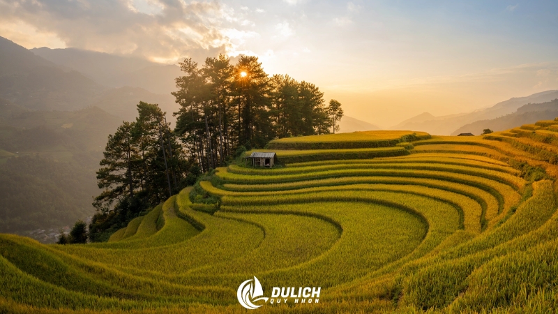 Biển mây Mù Cang Chải đẹp ngỡ ngàng tháng 12