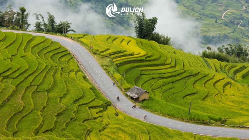 Biển mây Y Tý bồng bềnh giữa núi rừng rộng lớn