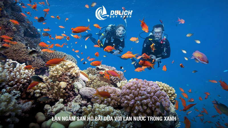 Lặn ngắm san hô Bãi Dứa với làn nước trong xanh