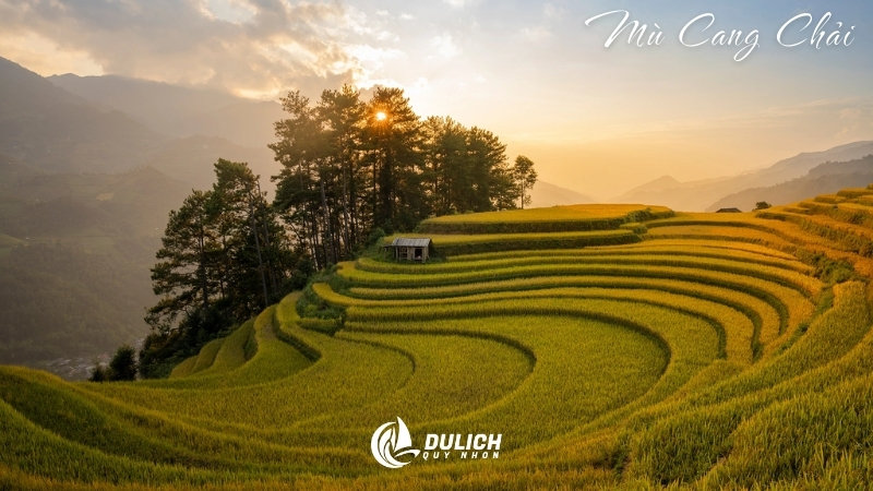 Mù Cang Chải với ruộng bậc thang vàng óng mùa lúa chín