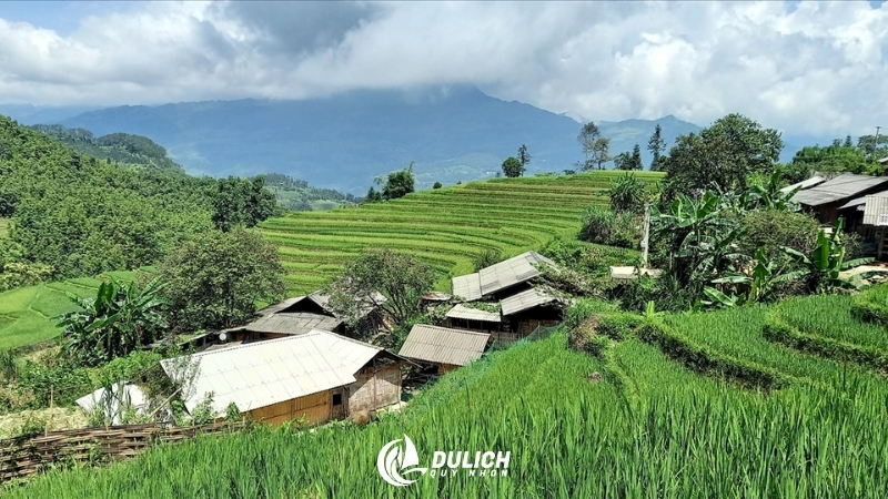 Hoàng Su Phì, tuyệt tác ruộng bậc thang mang đậm nét cảnh đẹp Việt Nam