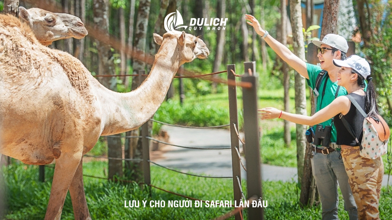 Lưu ý cho người đi safari lần đầu