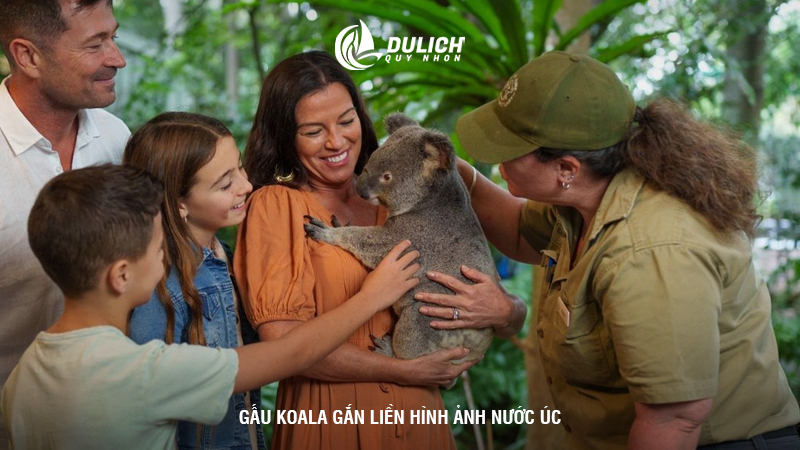 Gấu Koala gắn liền hình ảnh nước Úc