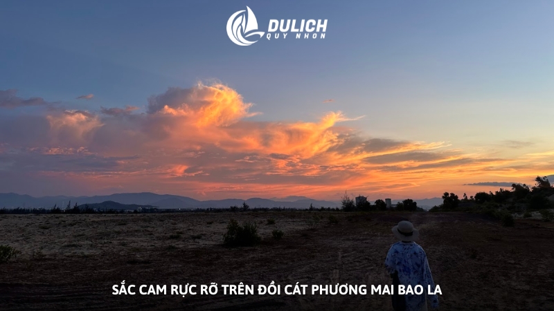 Sắc cam rực rỡ trên đồi cát Phương Mai bao la