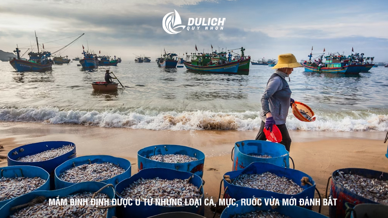 Mắm Bình Định được ủ từ những loại cá, mực, ruốc vừa mới đánh bắt 