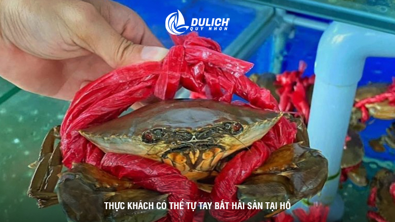 Thực khách có thể tự tay bắt hải sản tại hồ