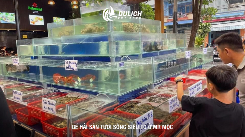 Bể hải sản tươi sống siêu to ở Mr Mộc