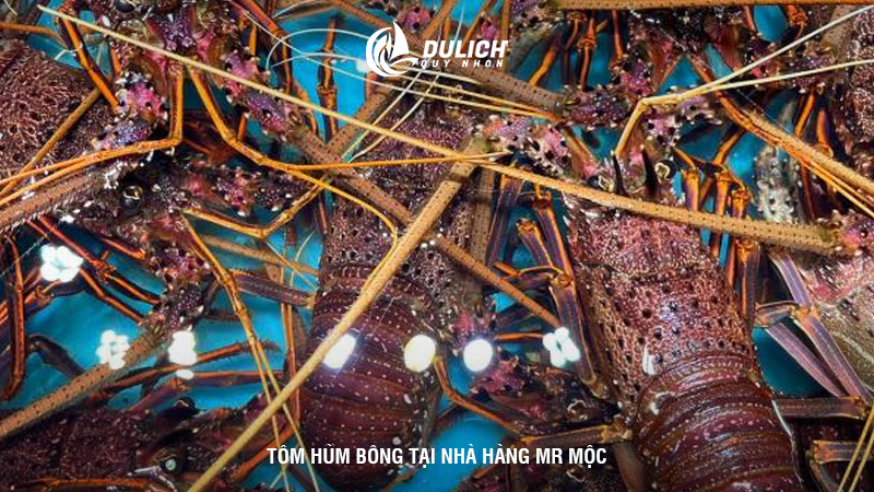 Tôm hùm bông tại nhà hàng Mr Mộc
