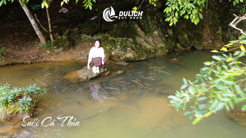 Suối Cá Thần