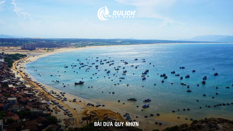 Bãi Dứa Quy Nhơn 
