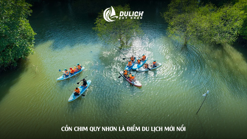 Cồn Chim Quy Nhơn là điểm du lịch mới nổi tại Quy Nhơn