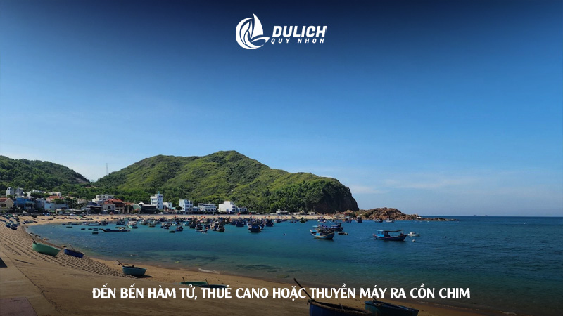 Đến bến Hàm Tử, thuê cano hoặc thuyền máy ra Cồn Chim